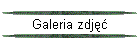 Galeria zdj